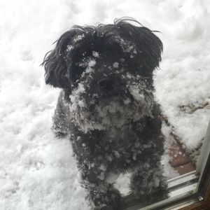 Meet your Posher, Allyssa